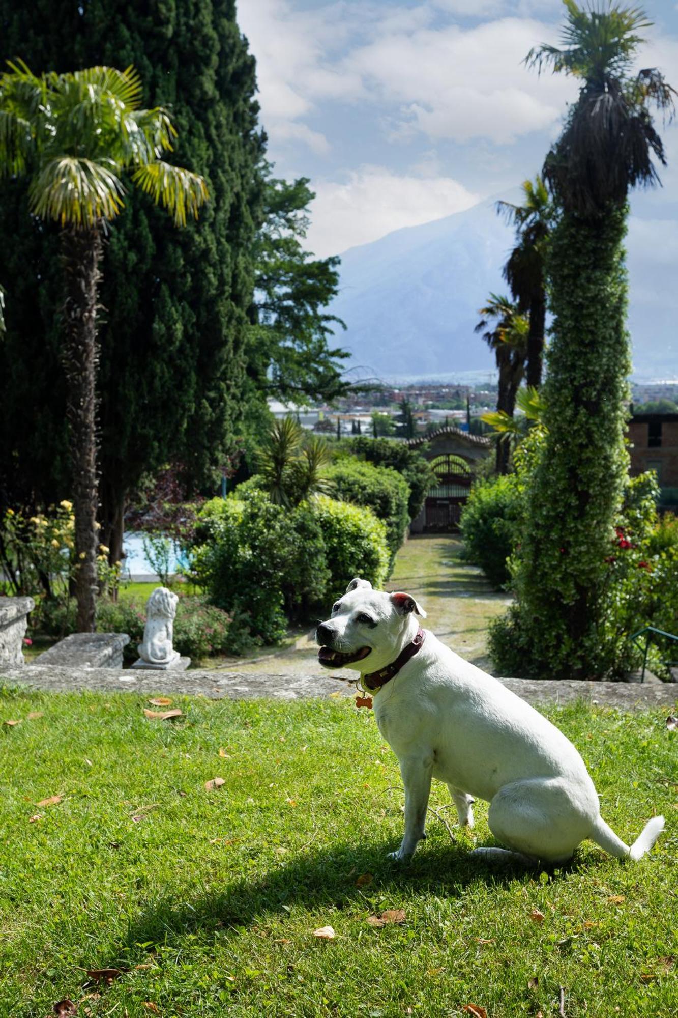 Villa Angelica Riva del Garda Dış mekan fotoğraf
