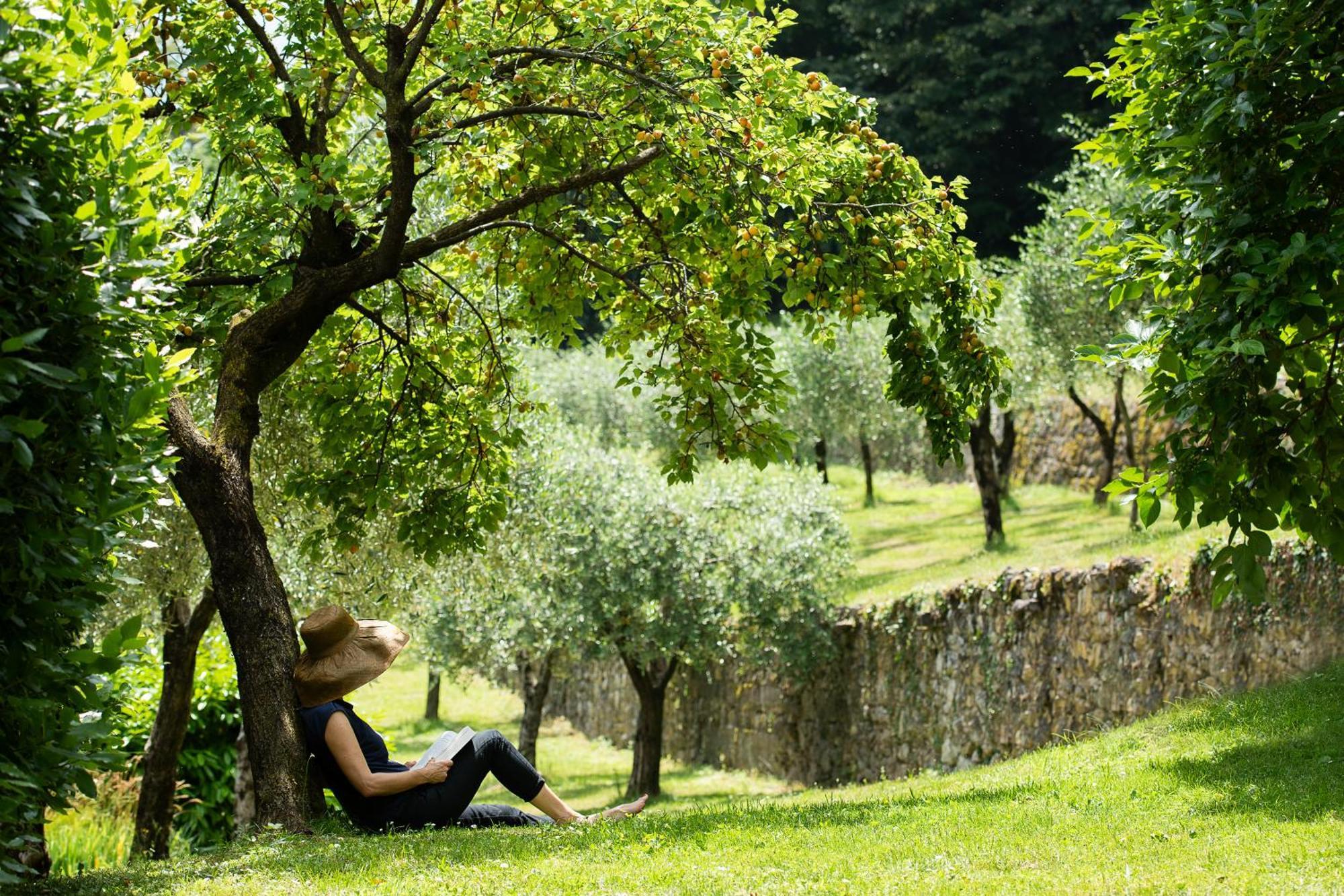 Villa Angelica Riva del Garda Dış mekan fotoğraf